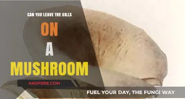 Should You Leave Mushroom Gills Intact? A Culinary and Safety Guide