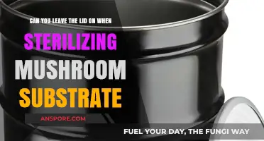 Sterilizing Mushroom Substrate: Lid On or Off? Expert Tips