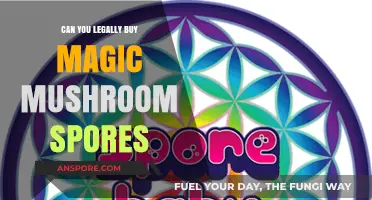 Legal Loopholes: Buying Magic Mushroom Spores Without Breaking the Law