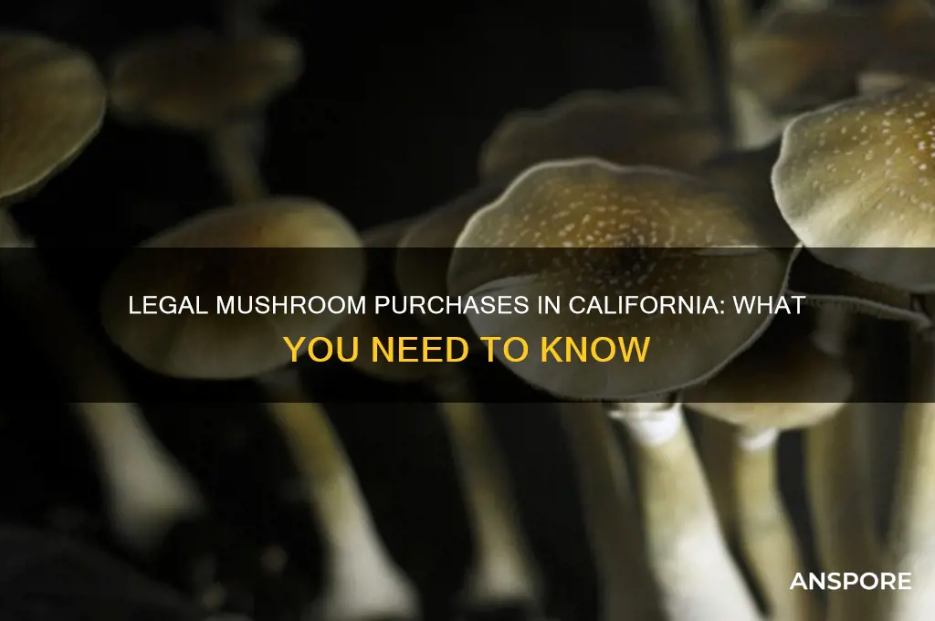can you legally buy mushrooms in california