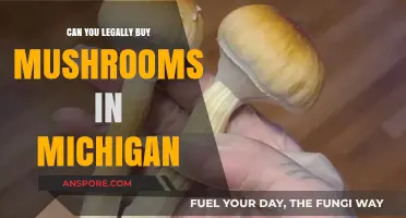Legal Mushroom Purchases in Michigan: What You Need to Know