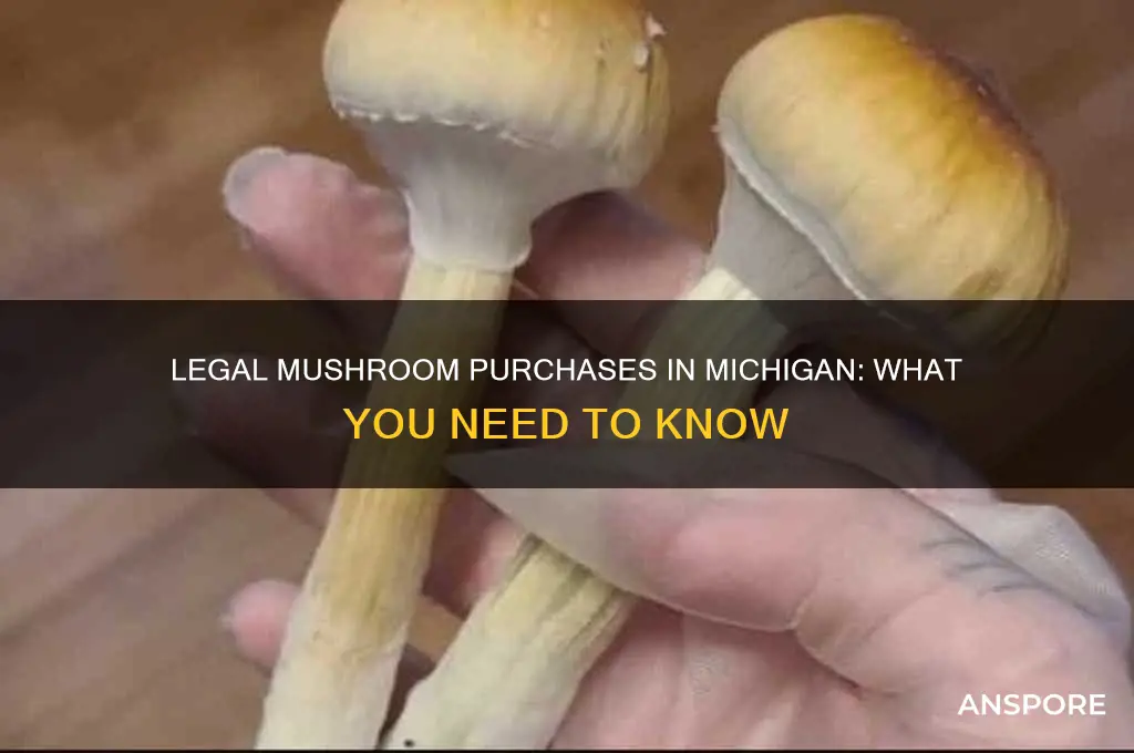 can you legally buy mushrooms in michigan