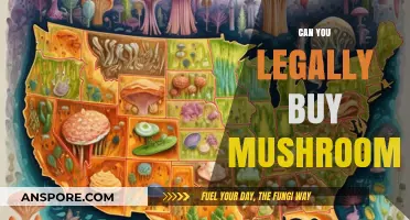Legal Mushroom Purchases: What You Need to Know Before Buying