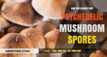 Legal Loopholes: Buying Psychedelic Mushroom Spores Without Breaking Laws