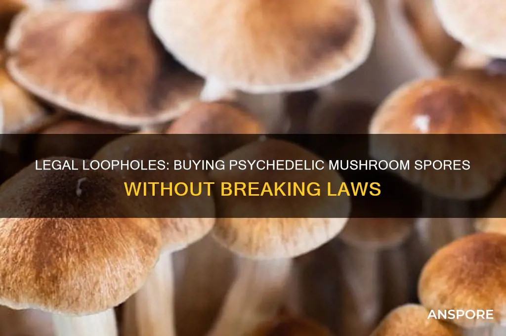 can you legally buy psychedelic mushroom spores