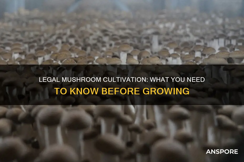 can you legally grow mushrooms