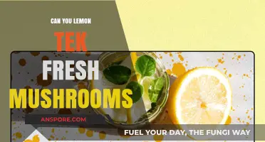 Lemon Tek Fresh Mushrooms: A Guide to Enhancing Your Experience