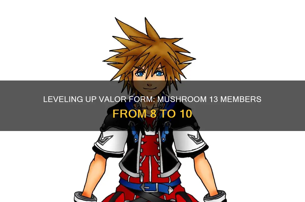 can you level up valor form of mushroom 13 members