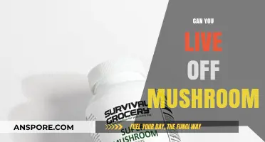 Can You Sustainably Live Off Mushrooms? Exploring Fungal Nutrition and Survival