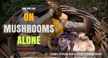 Surviving on Mushrooms: Is a Fungus-Only Diet Possible or Perilous?
