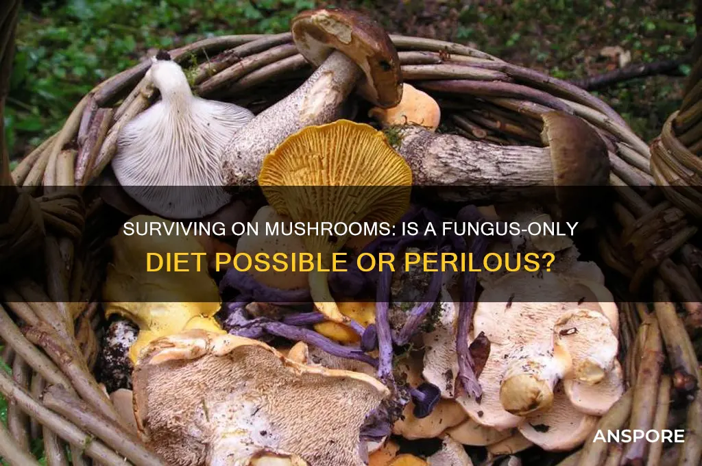 can you live on mushrooms alone