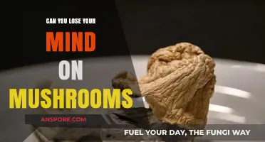 Exploring the Psychedelic Mind: Can Mushrooms Lead to Losing It?