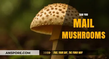 Mailing Mushrooms: Legal, Safe, and Practical Tips for Shipping Fungi