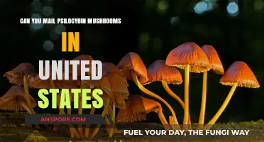 Mailing Psilocybin Mushrooms in the U.S.: Legal Risks Explained
