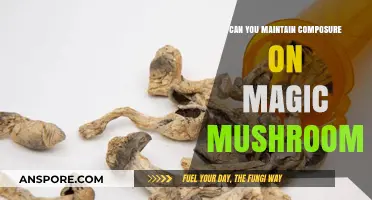 Staying Calm and Centered: Navigating the Psychedelic Experience on Magic Mushrooms