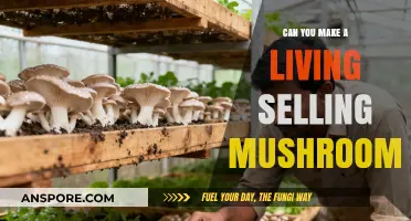 Profitable Mushroom Farming: Can You Earn a Living Selling Fungi?