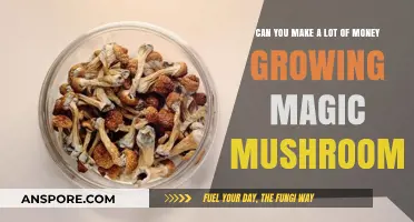 Profitable Psilocybin: Can Growing Magic Mushrooms Yield Big Earnings?