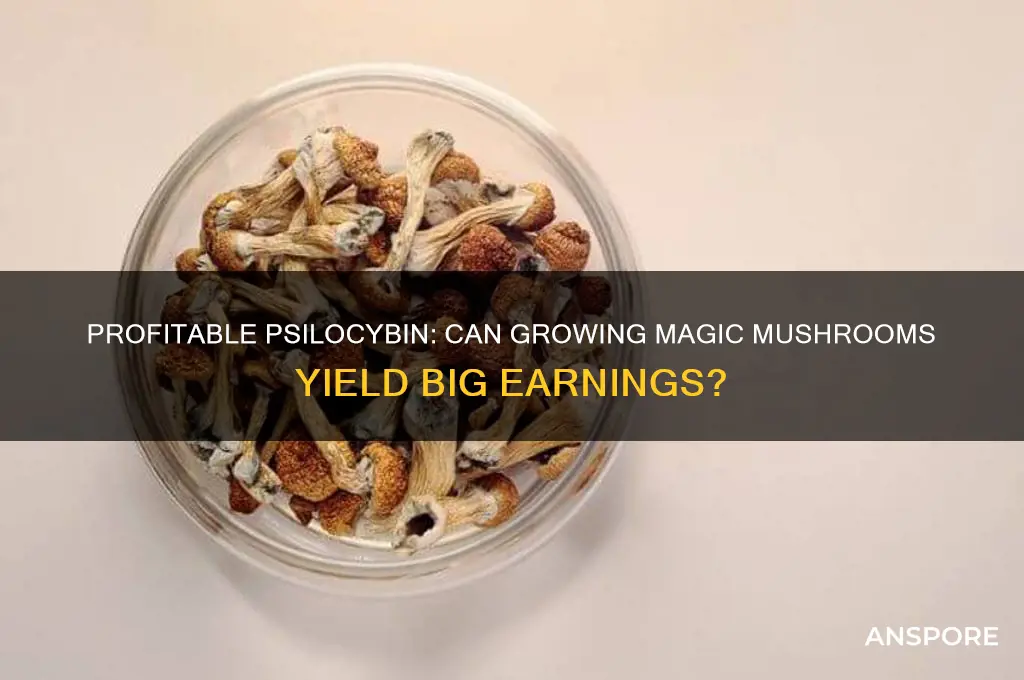 can you make a lot of money growing magic mushrooms