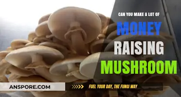 Profitable Mushroom Farming: Can You Earn Big Growing Gourmet Fungi?