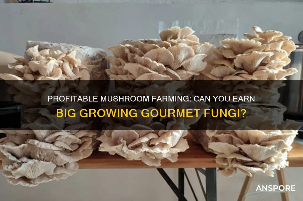 can you make a lot of money raising mushrooms