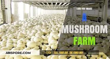 How to Start Your Own Mushroom Farm: A Beginner's Guide