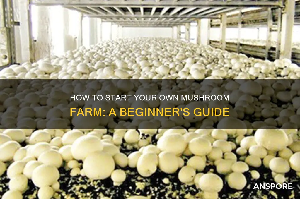 can you make a mushroom farm