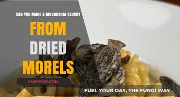 Reviving Dried Morels: Crafting a Flavorful Mushroom Slurry at Home