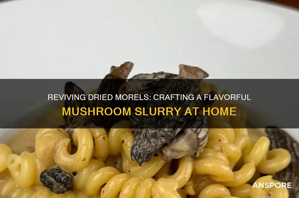 can you make a mushroom slurry from dried morels