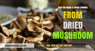 Creating Spore Syringes from Dried Mushrooms: A Comprehensive DIY Guide