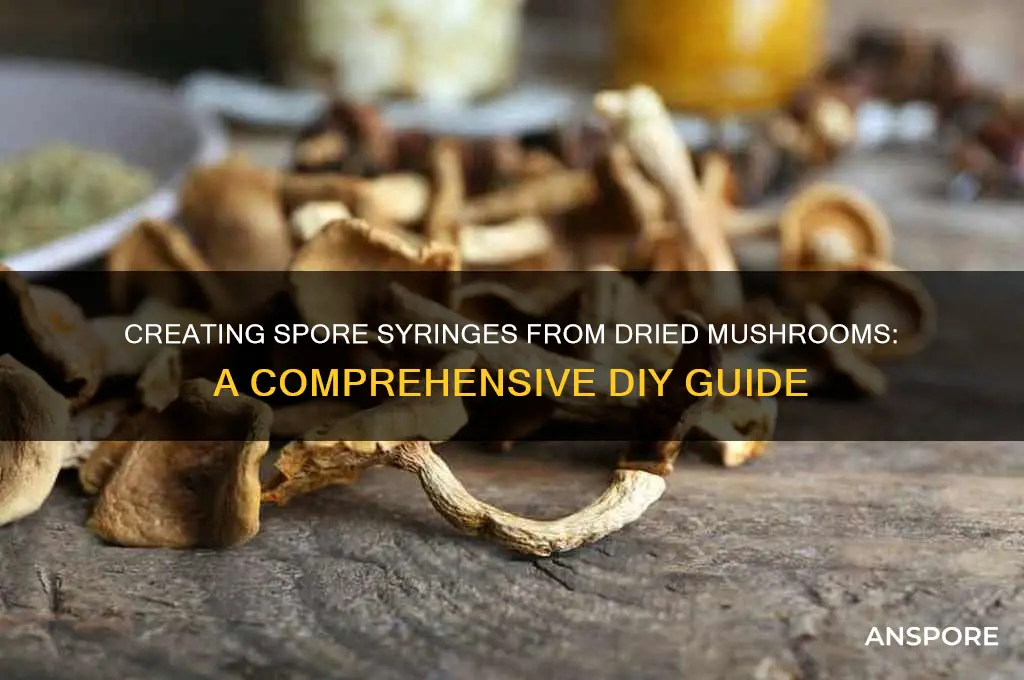 can you make a spore syringe from dried mushrooms
