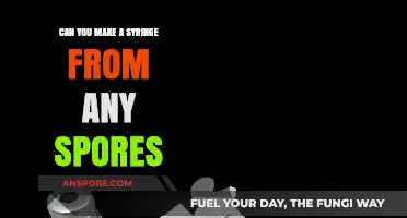 Creating Syringes from Spores: Possibilities, Challenges, and Safety Concerns