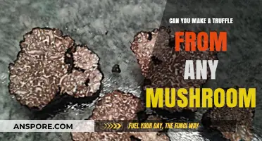 Exploring Edible Mushrooms: Can Any Variety Create Delicious Truffles?