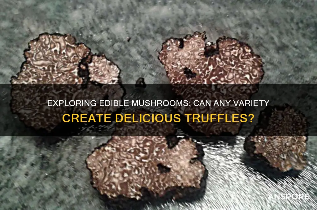 can you make a truffle from any mushroom