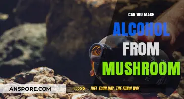 Brewing with Fungi: Exploring Mushroom-Based Alcohol Creation Techniques