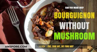 Mushroom-Free Beef Bourguignon: A Delicious Alternative Recipe