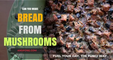 Mushroom Bread: Exploring the Possibility of Fungus-Based Baking