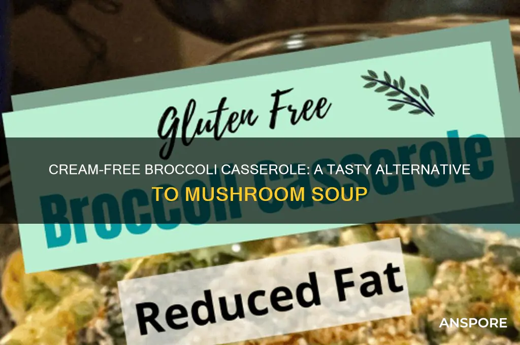 can you make broccoli casserole without cream of mushroom soup