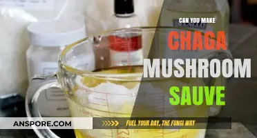 Crafting Chaga Mushroom Salve: A DIY Guide to Natural Healing