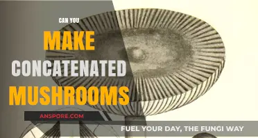 Concatenated Mushrooms: Exploring the Possibility of Combining Fungi Creatively