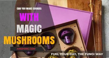 Baking with Magic Mushrooms: Can You Make Psychedelic Cookies?