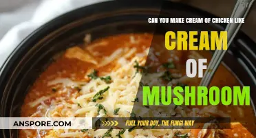 Cream of Chicken vs. Mushroom: Recreating the Classic Soup's Creamy Texture