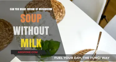 Dairy-Free Cream of Mushroom Soup: Easy Milk-Free Recipe Guide