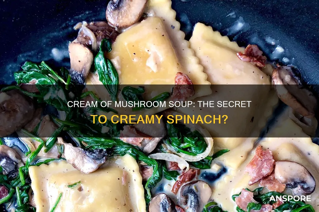 can you make creamed spinach with cream of mushroom soup