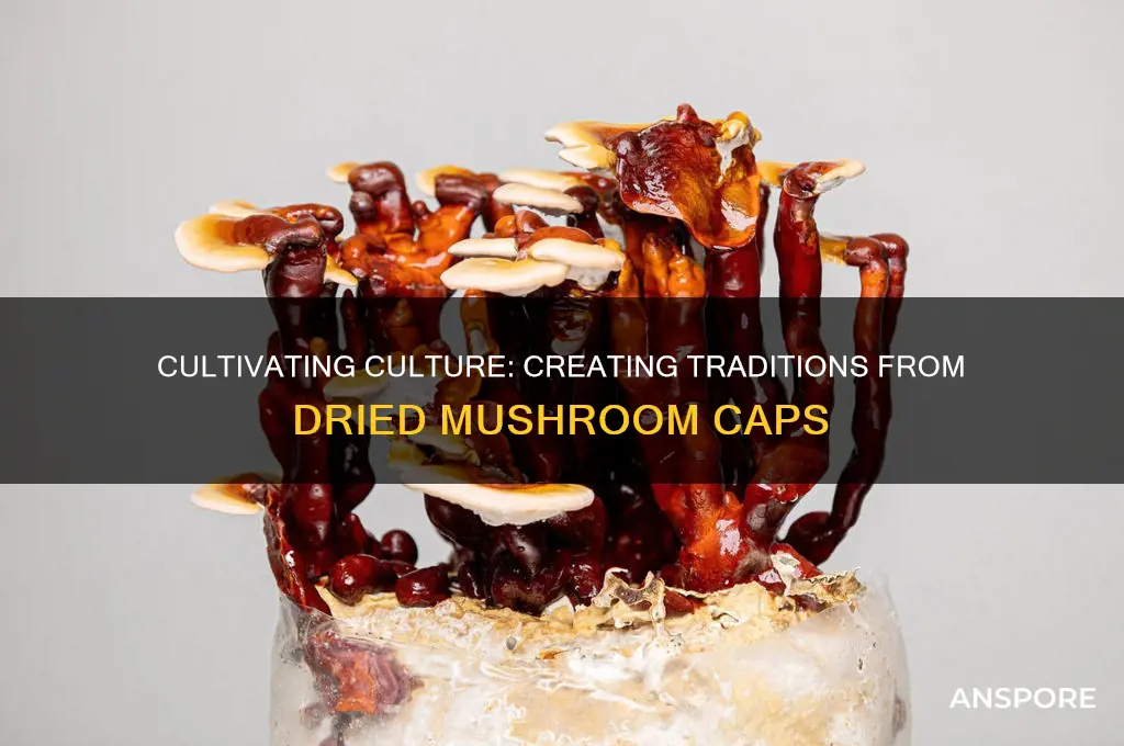 can you make culture from dried mushroom caps