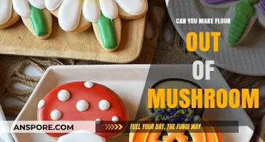 Mushroom Flour: A Creative, Nutritious Alternative to Traditional Baking