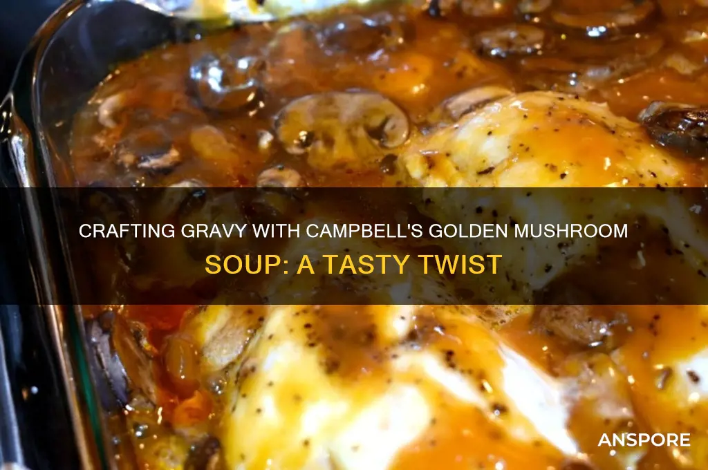can you make gravey out of campbell