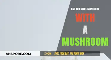 Brewing Kombucha with a Mushroom: Myth or Reality?