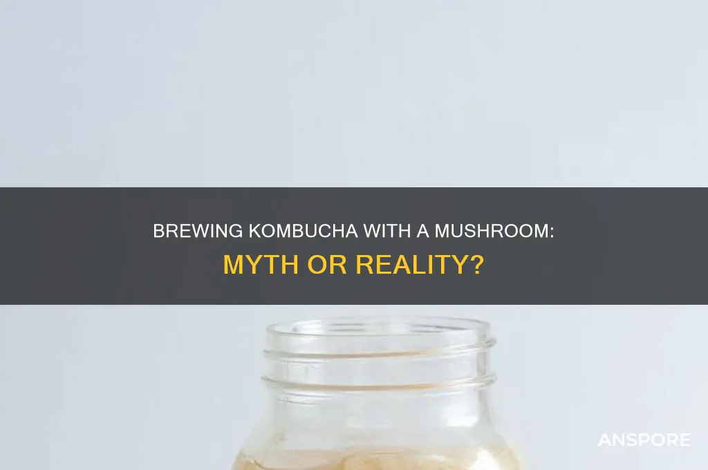 can you make kombucha with a mushroom