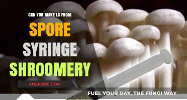 Growing Liquid Culture from Spore Syringe: A Shroomery Guide