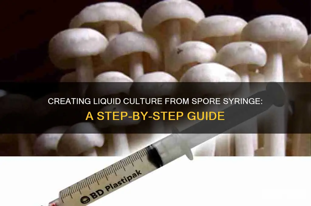 can you make liquid culture from spore syringe